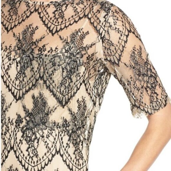 Caara Scalloped Lace Shift Dress Black Beige Size Small new with tags #115 - Picture 4 of 8